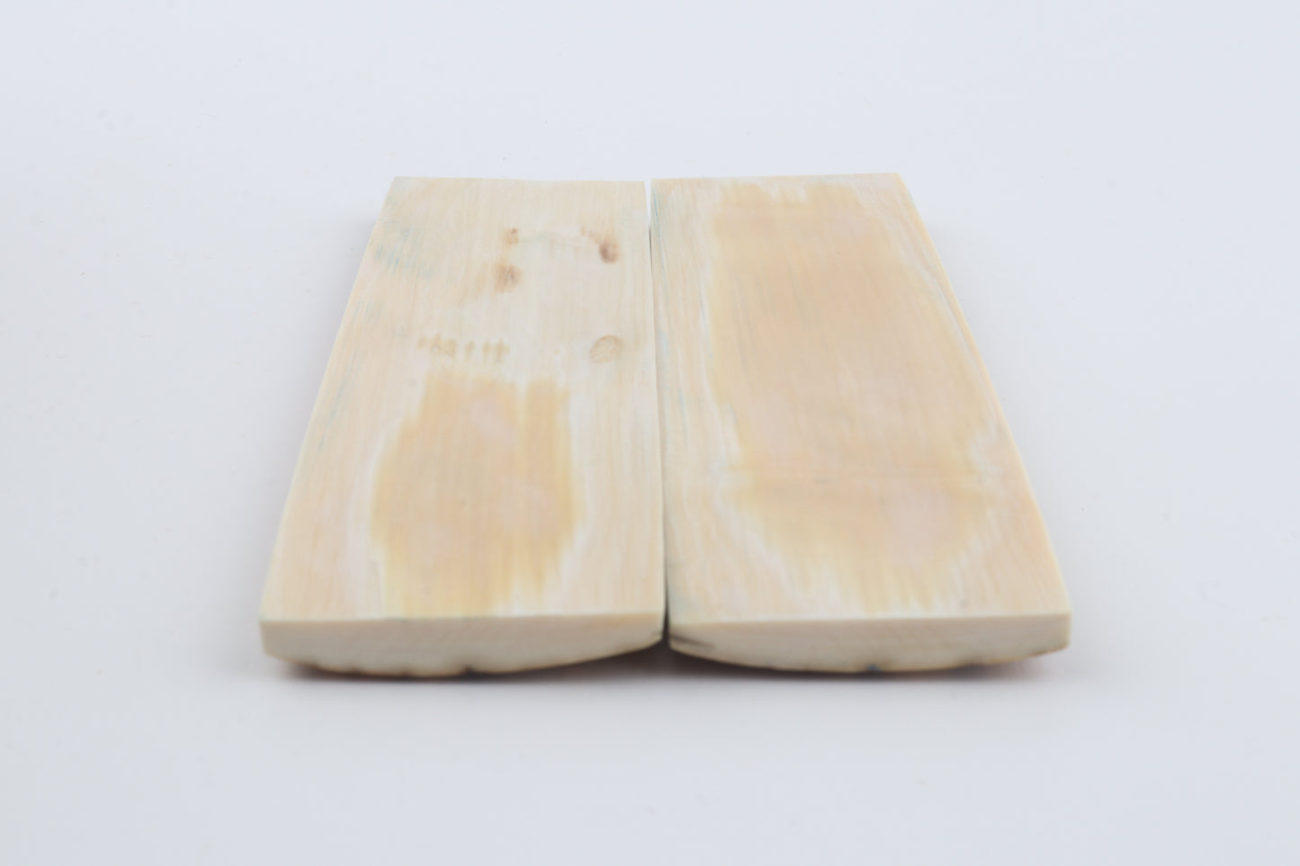 Natural woolly mammoth bark scales