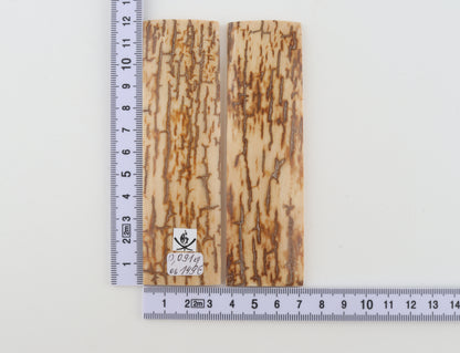Natural mammoth bark scales