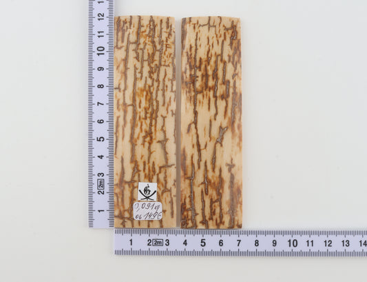 Natural mammoth bark scales