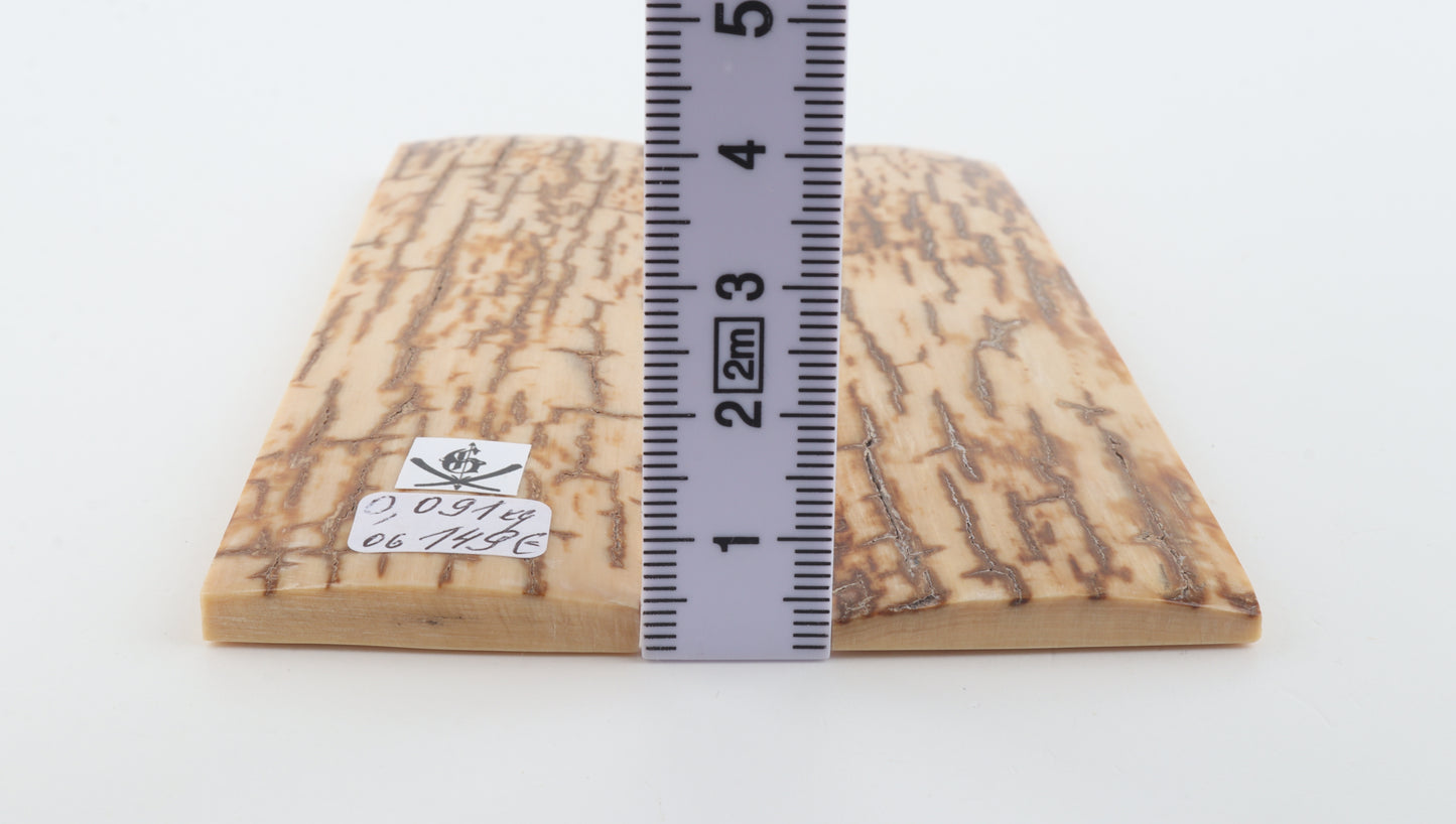 Natural mammoth bark scales