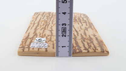 Natural mammoth bark scales