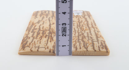 Natural mammoth bark scales