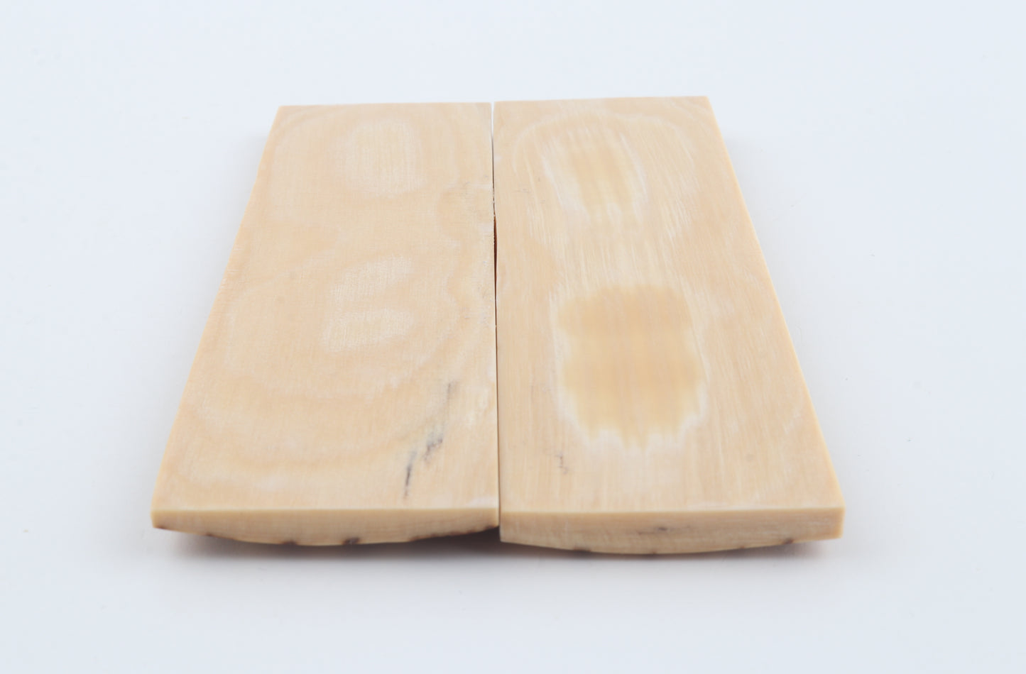 Natural mammoth bark scales