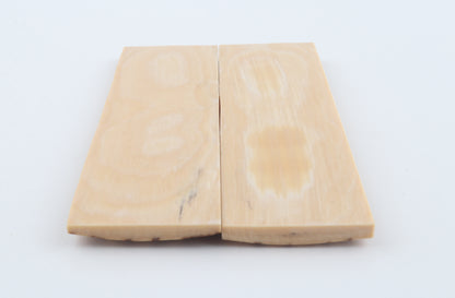 Natural mammoth bark scales