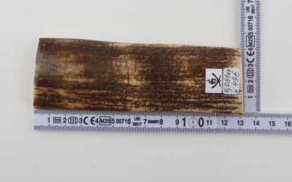 Brown-yellow mammoth bark