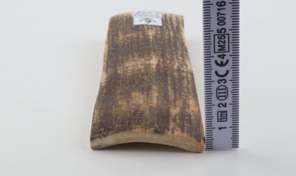 Brown-yellow mammoth bark