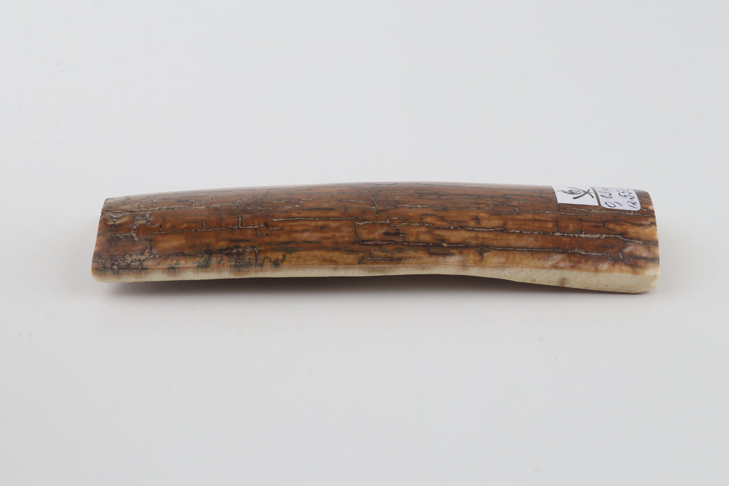 Caramel mammoth bark