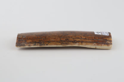 Caramel mammoth bark