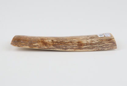 Orange mammoth bark