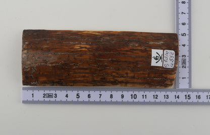 Caramel mammoth bark