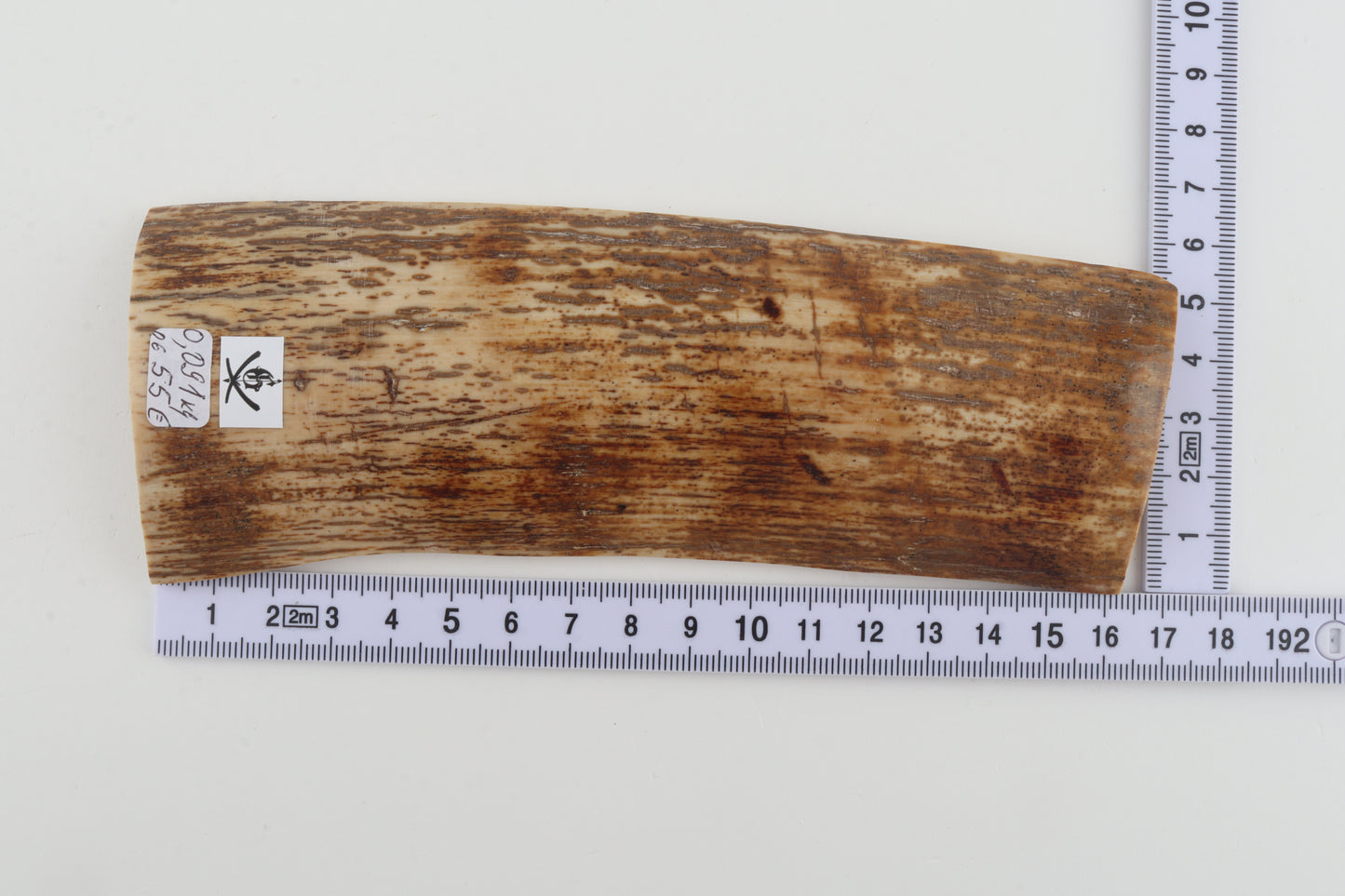 Orange mammoth bark
