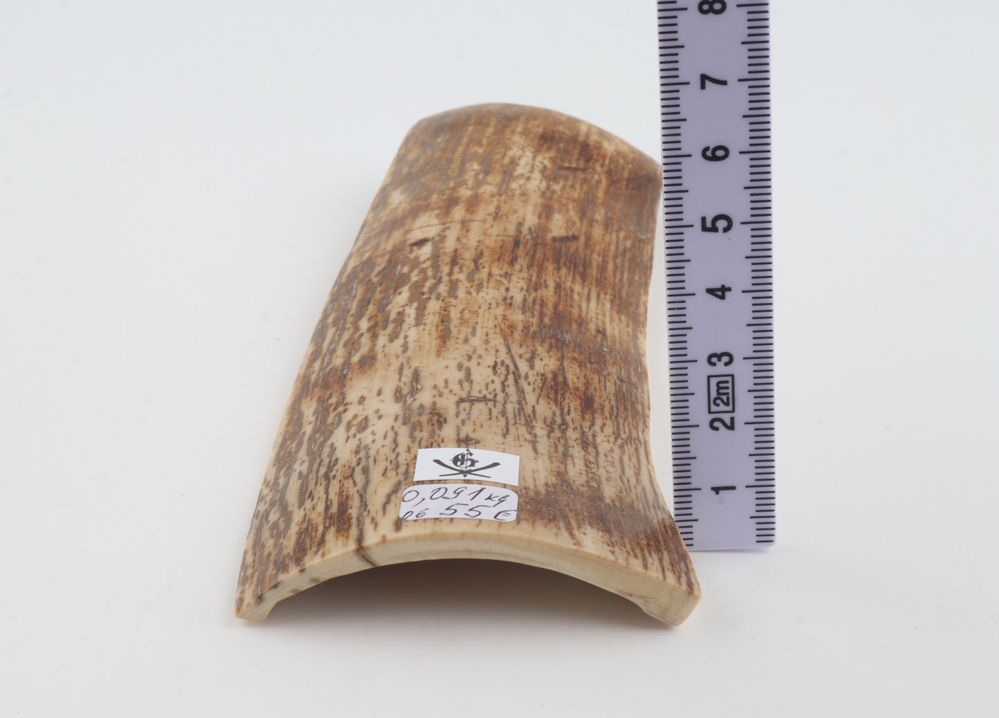 Orange mammoth bark