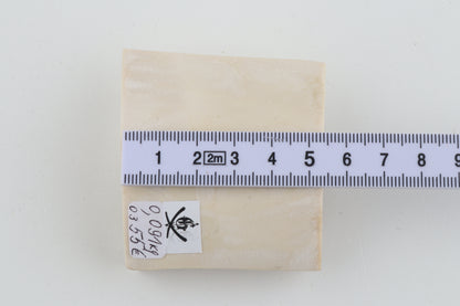 Natural mammoth ivory piece