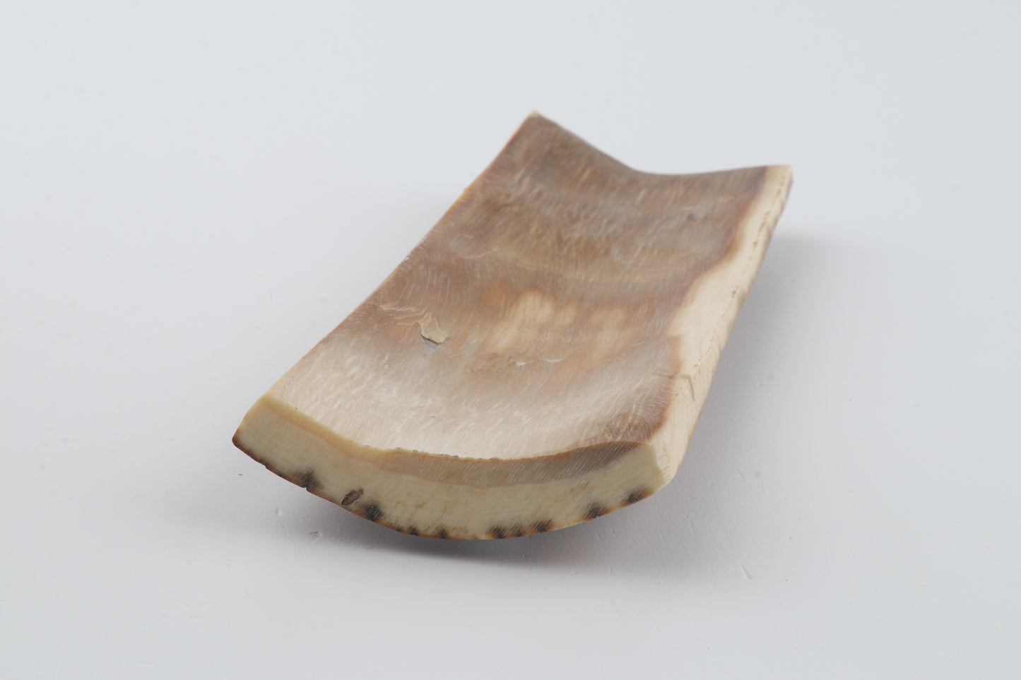 Caramel mammoth bark