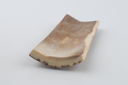 Caramel mammoth bark