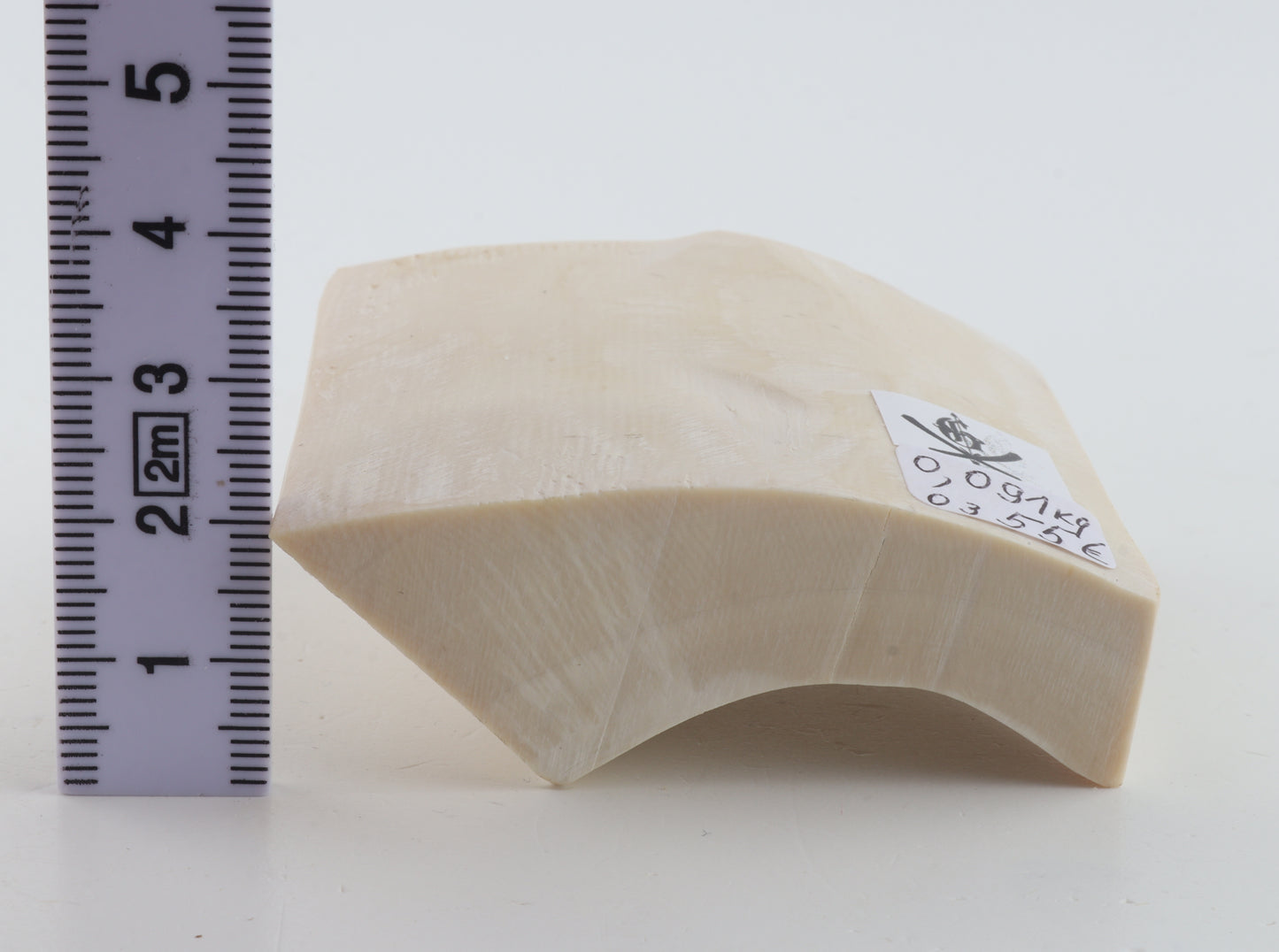 Natural mammoth ivory piece