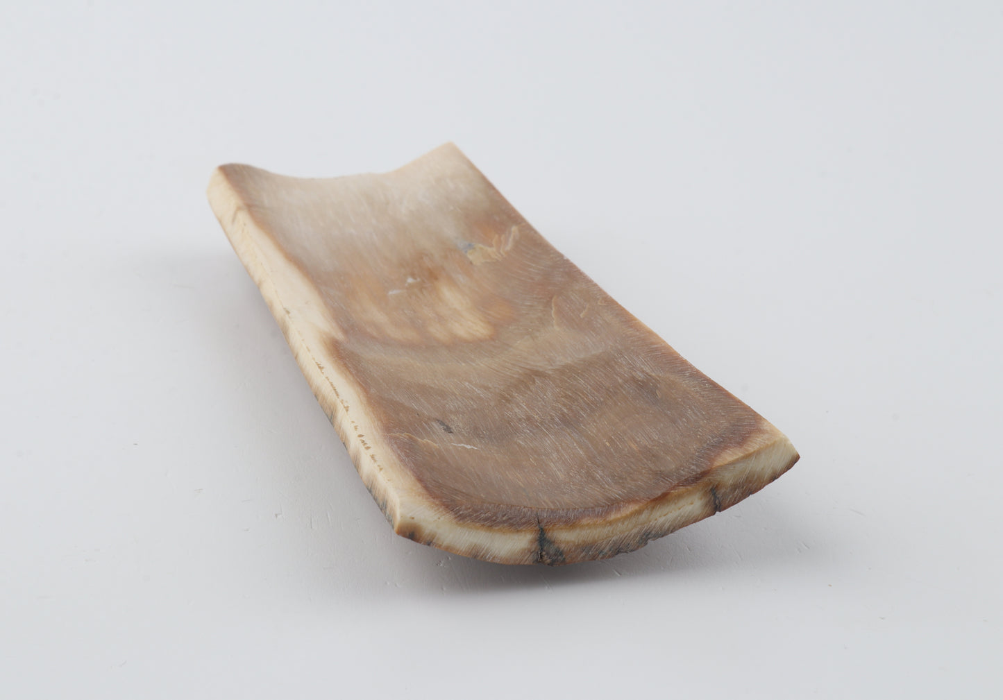 Caramel mammoth bark