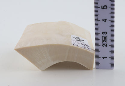 Natural mammoth ivory piece