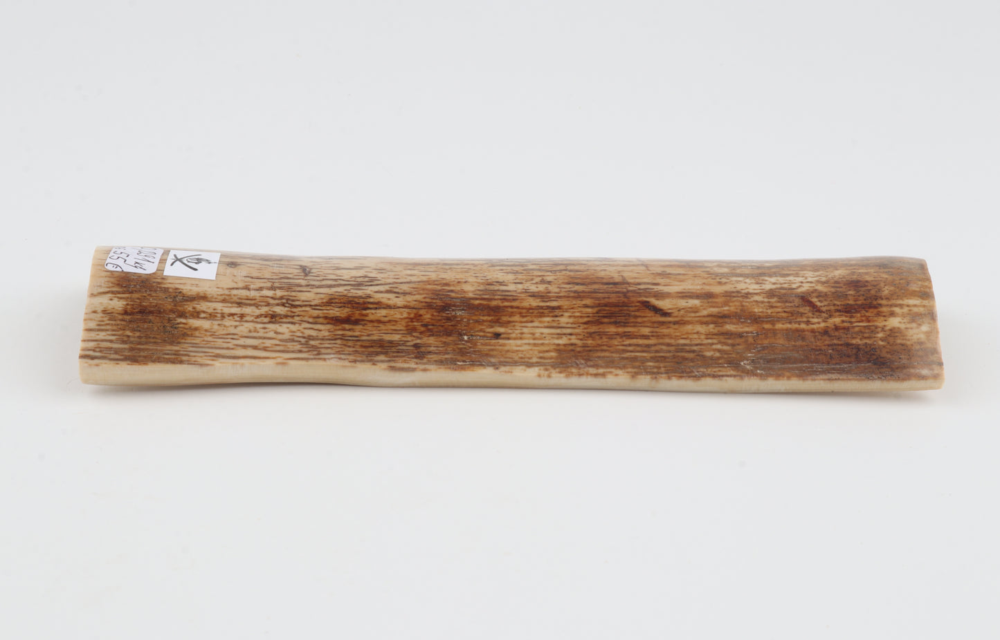 Orange mammoth bark
