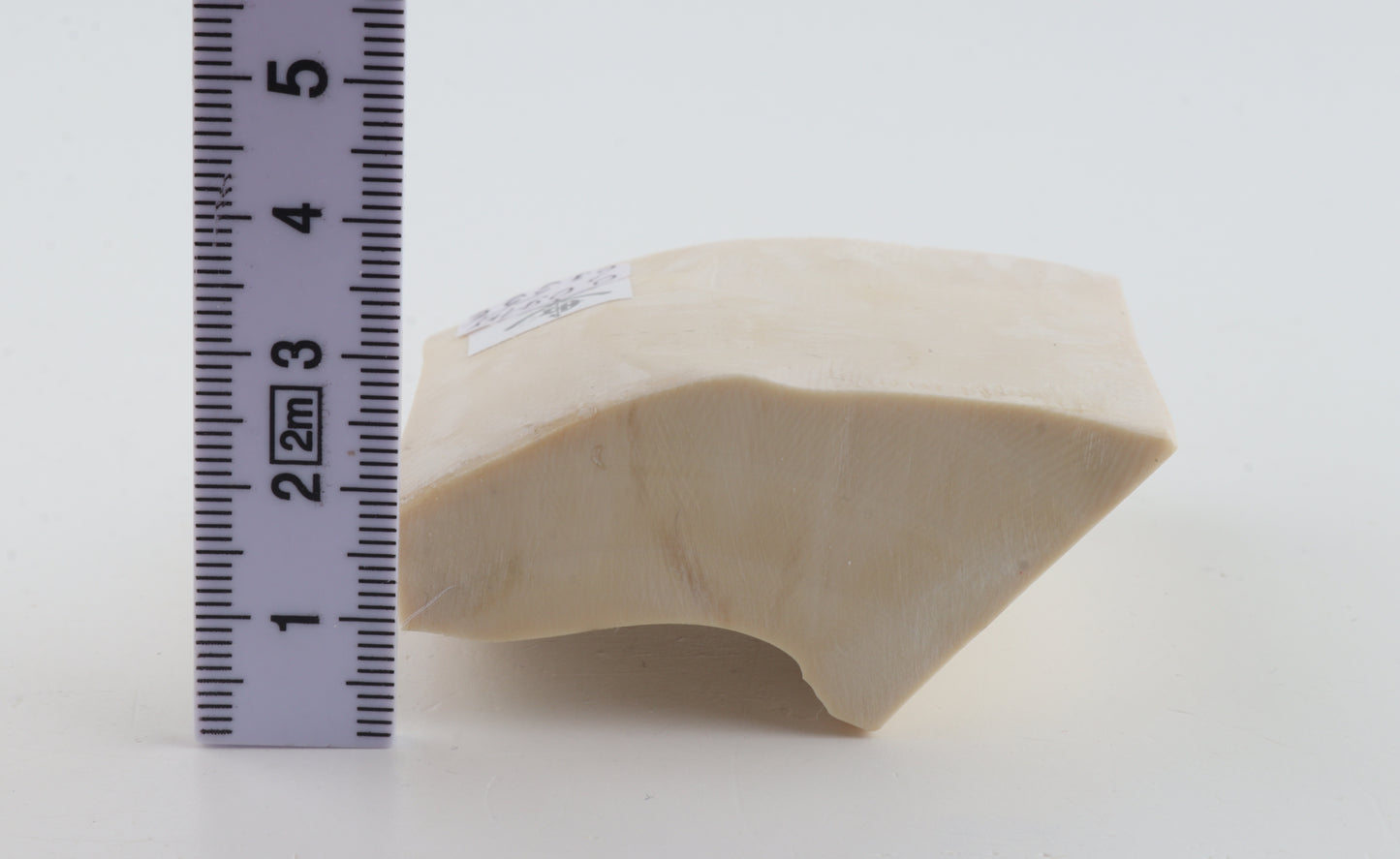Natural mammoth ivory piece