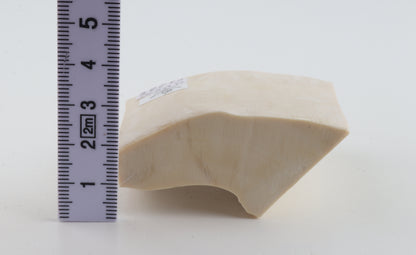 Natural mammoth ivory piece