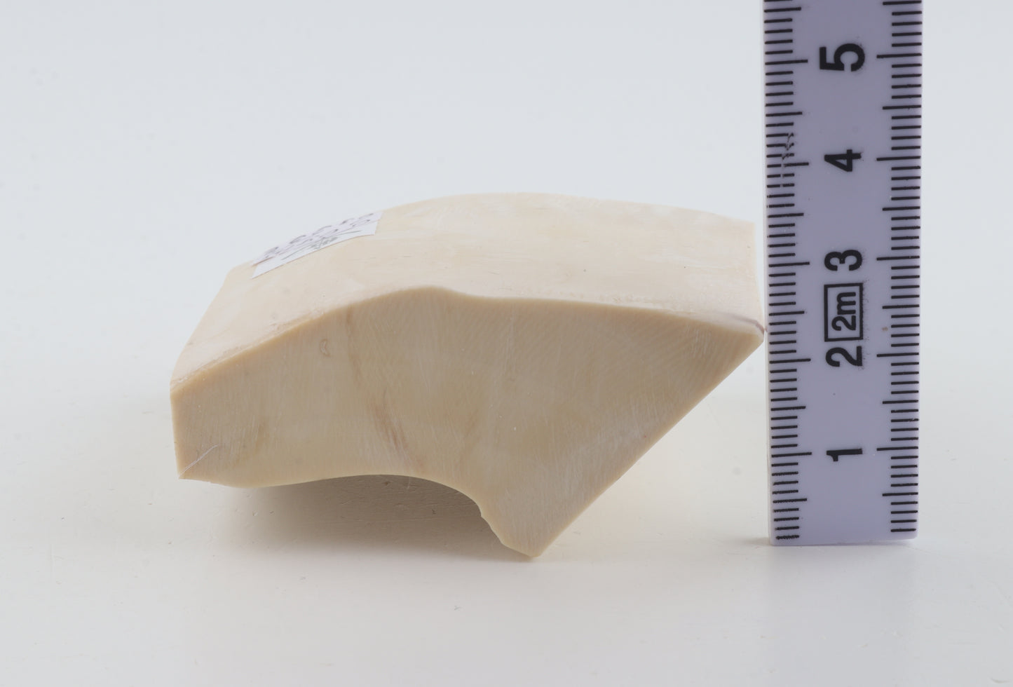 Natural mammoth ivory piece