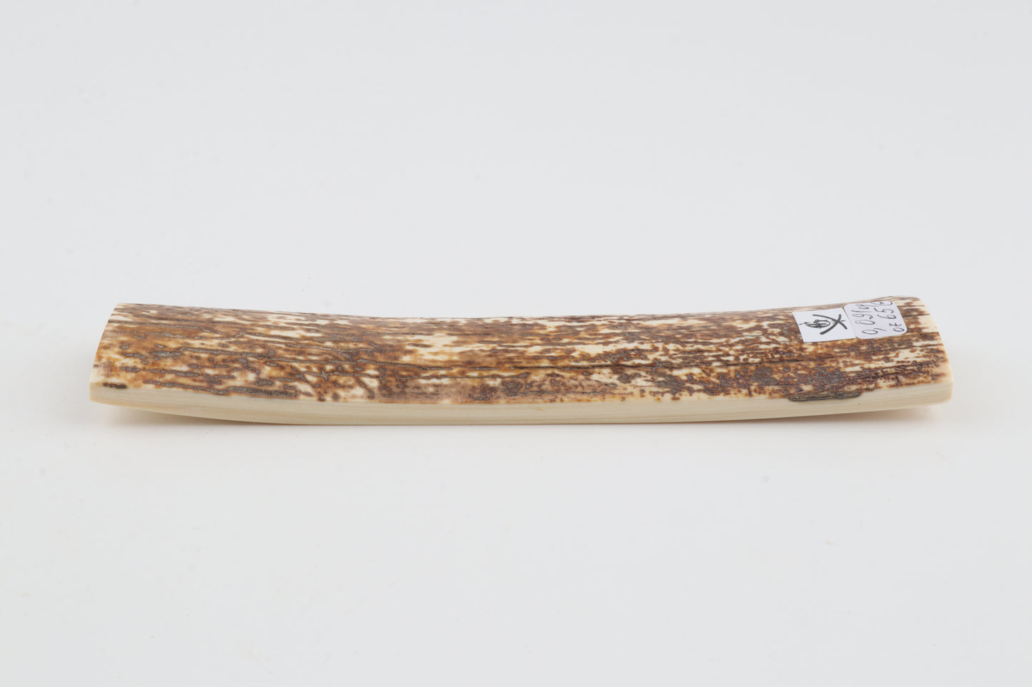 Orange-white mammoth bark