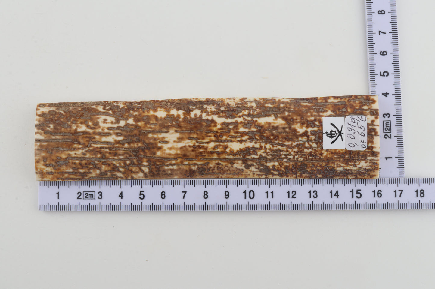 Orange-white mammoth bark