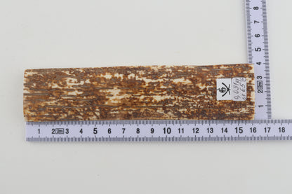 Orange-white mammoth bark