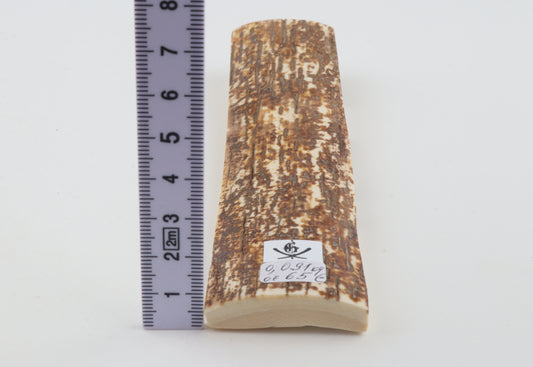 Orange-white mammoth bark