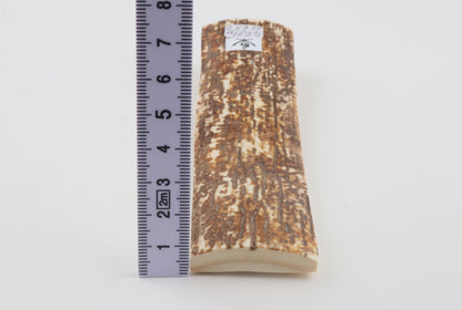 Orange-white mammoth bark