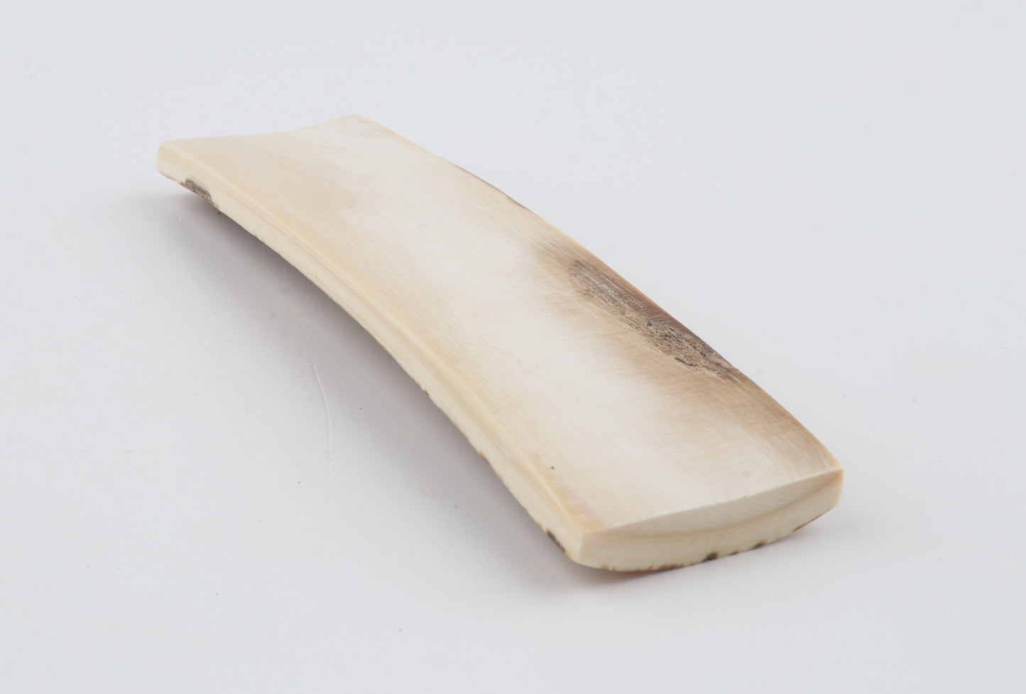 Orange-white mammoth bark