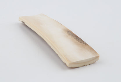 Orange-white mammoth bark