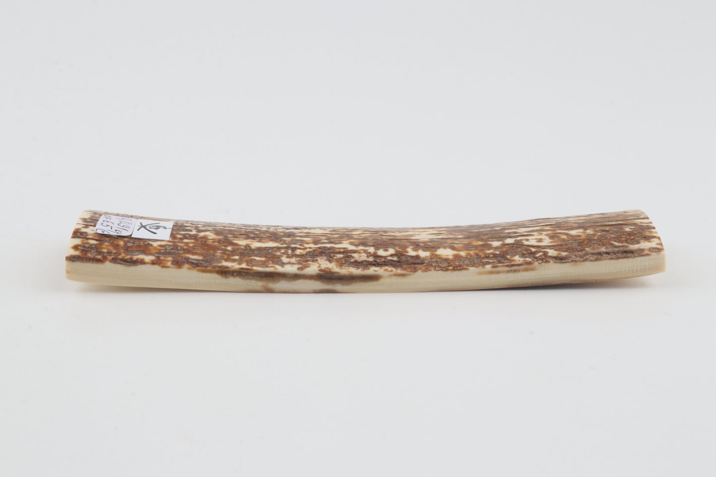 Orange-white mammoth bark