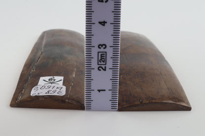 Natural mammoth bark scales