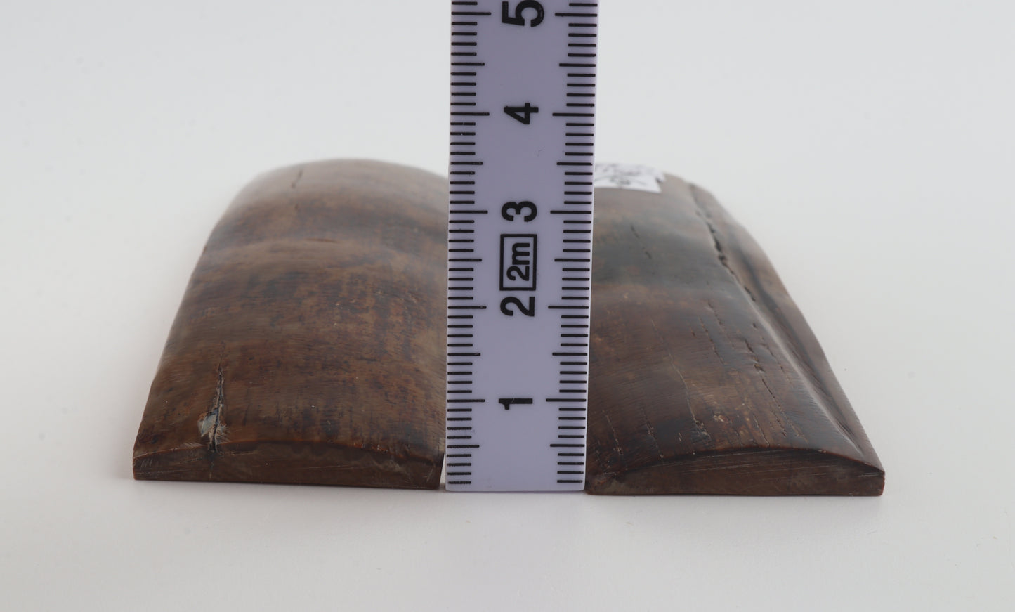 Natural mammoth bark scales