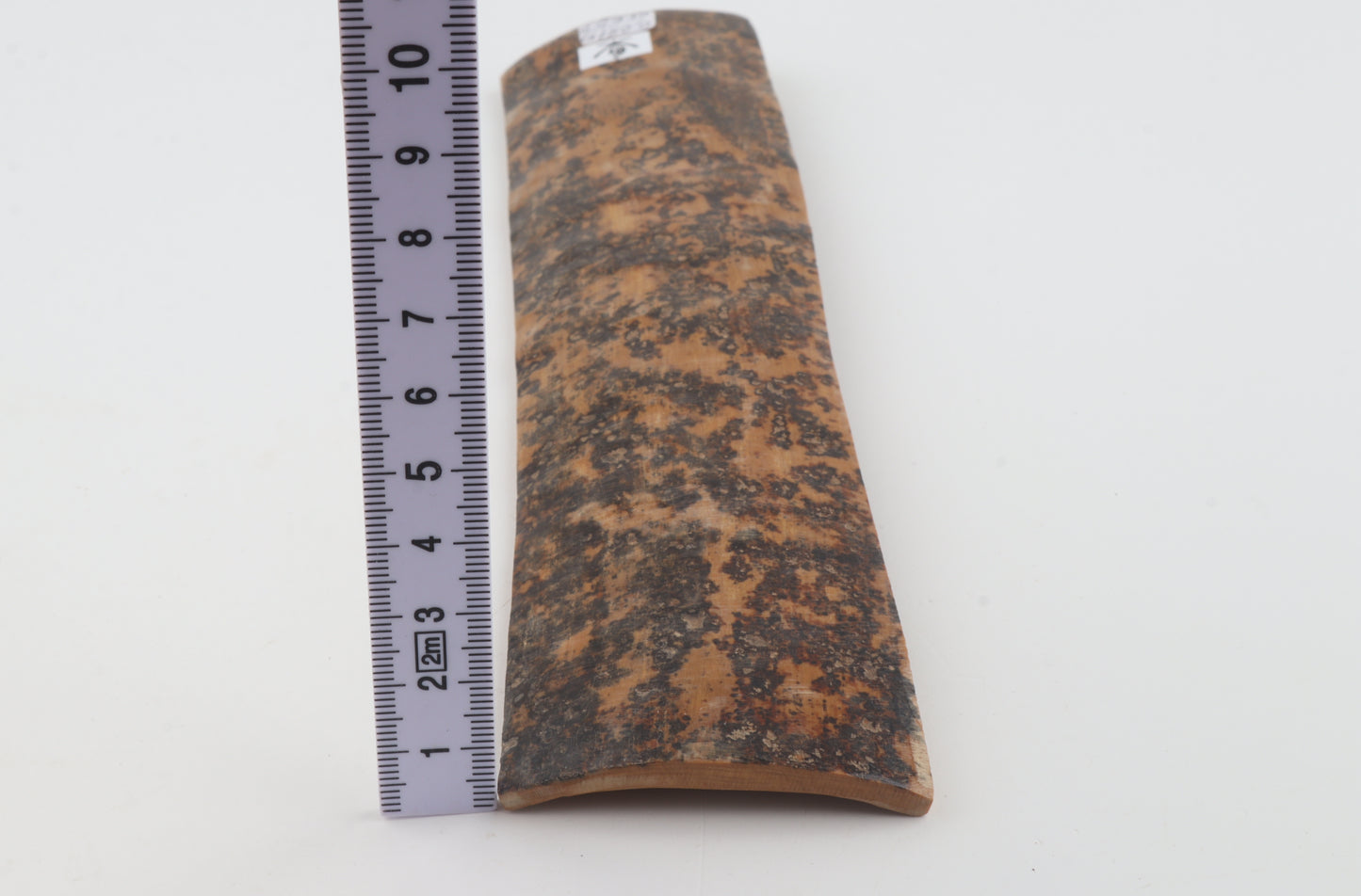 Brown-mustard mammoth bark