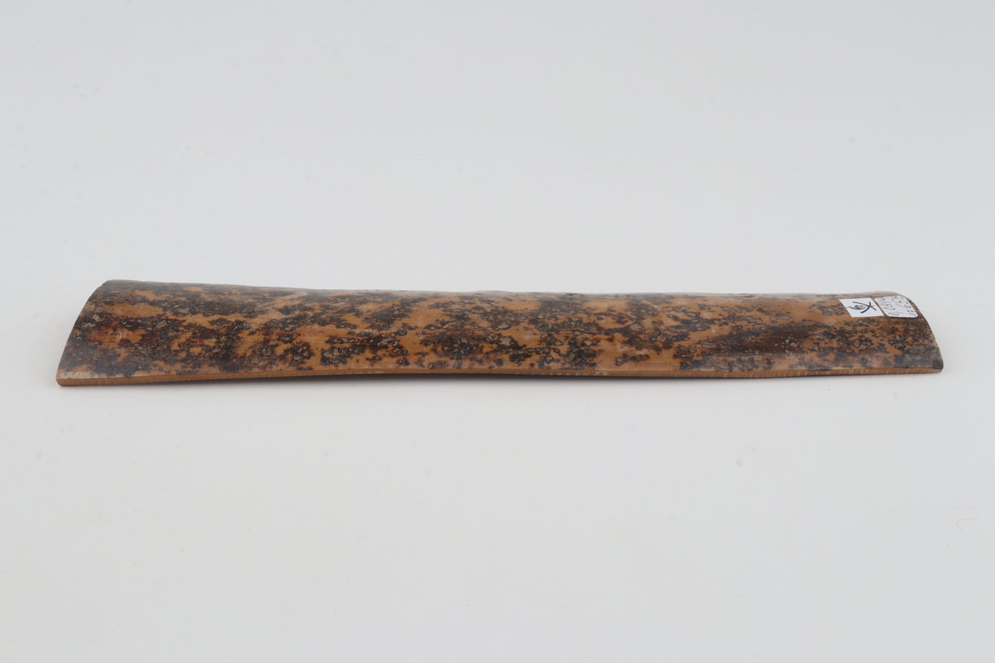 Brown-mustard mammoth bark