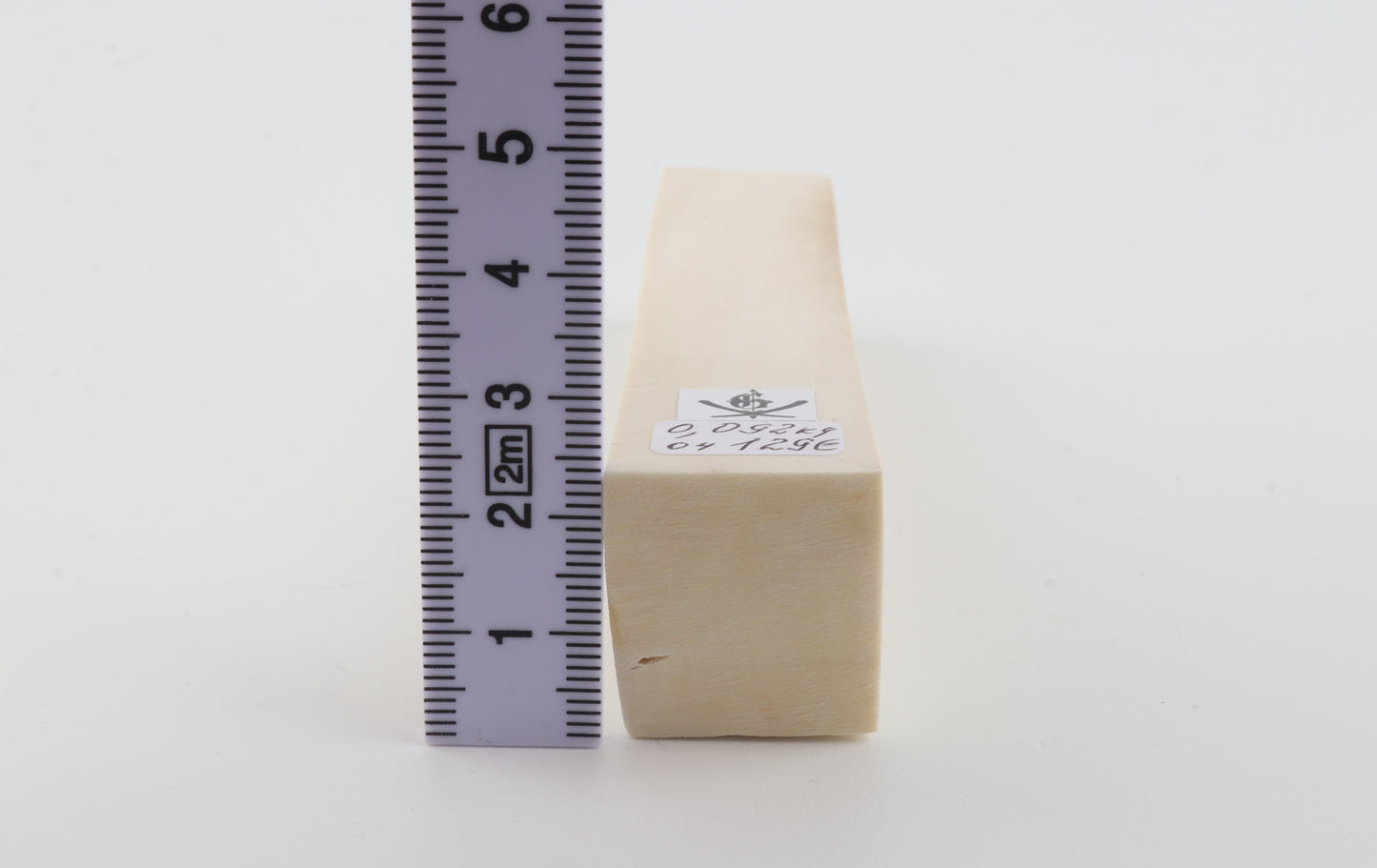 White mammoth ivory segment
