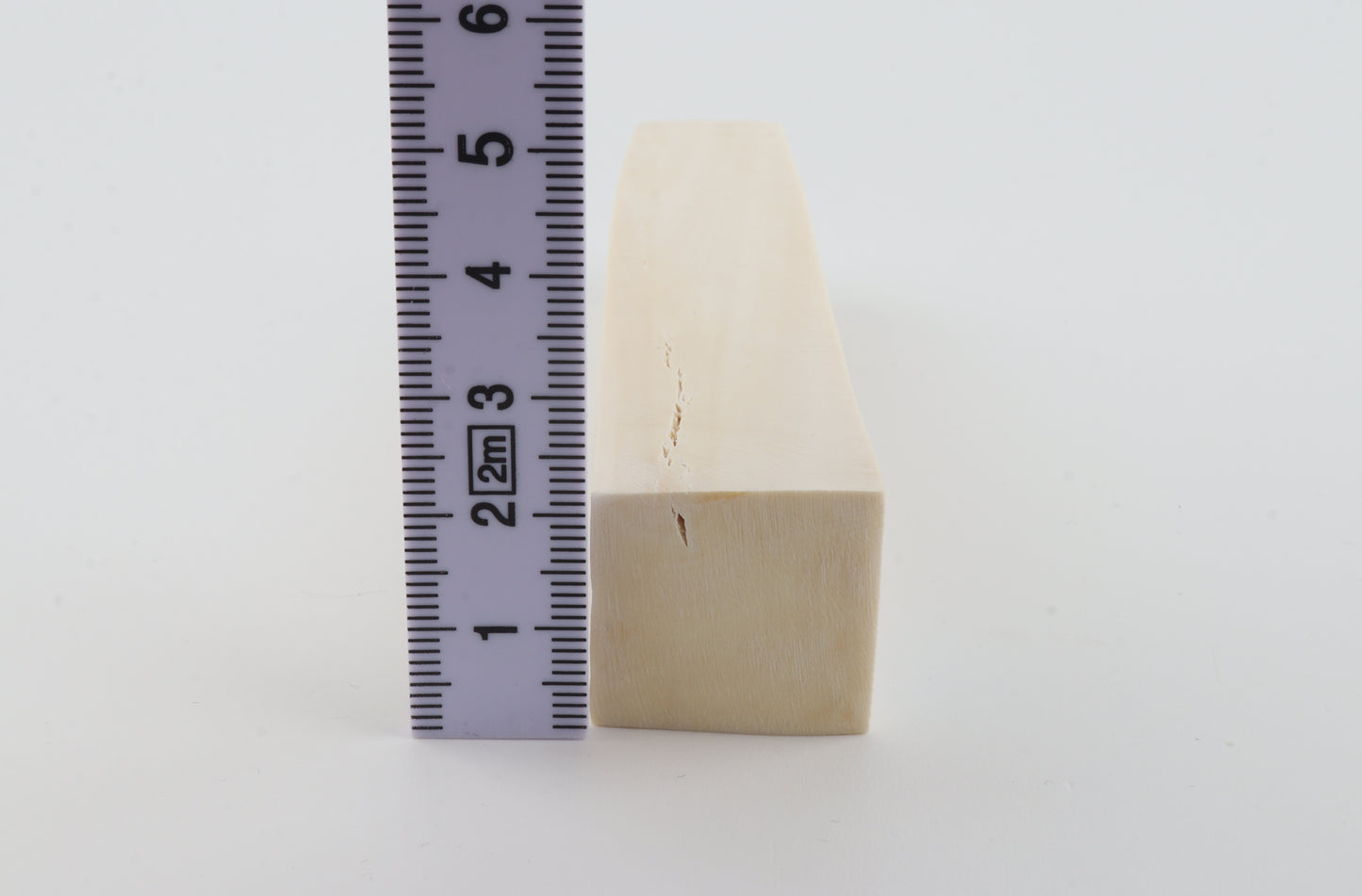 White mammoth ivory segment
