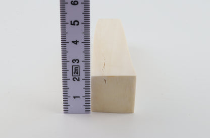 White mammoth ivory segment