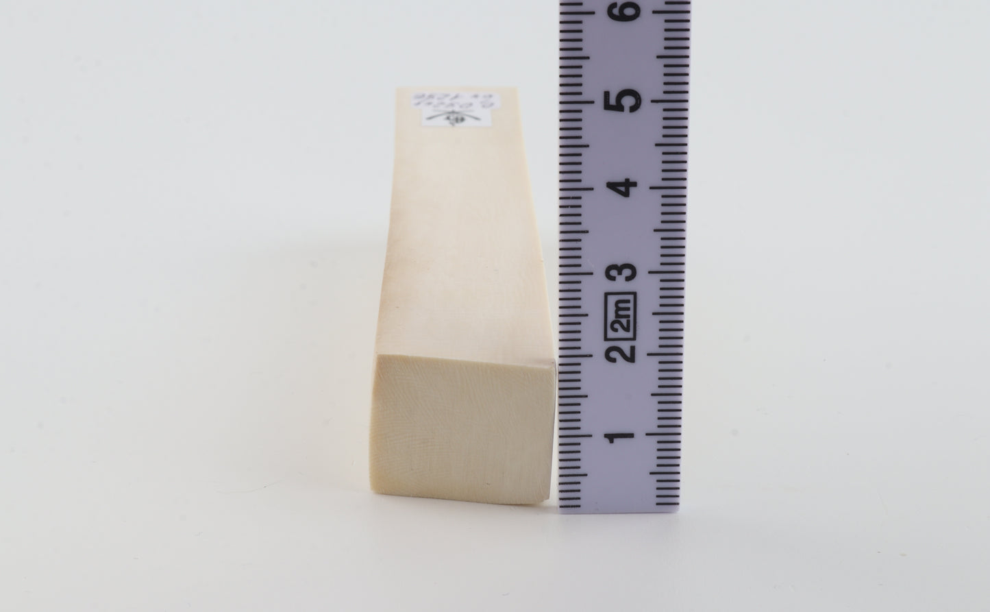 White mammoth ivory segment