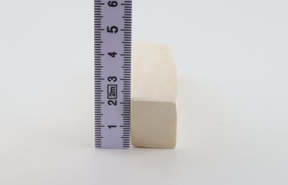 White mammoth ivory segment