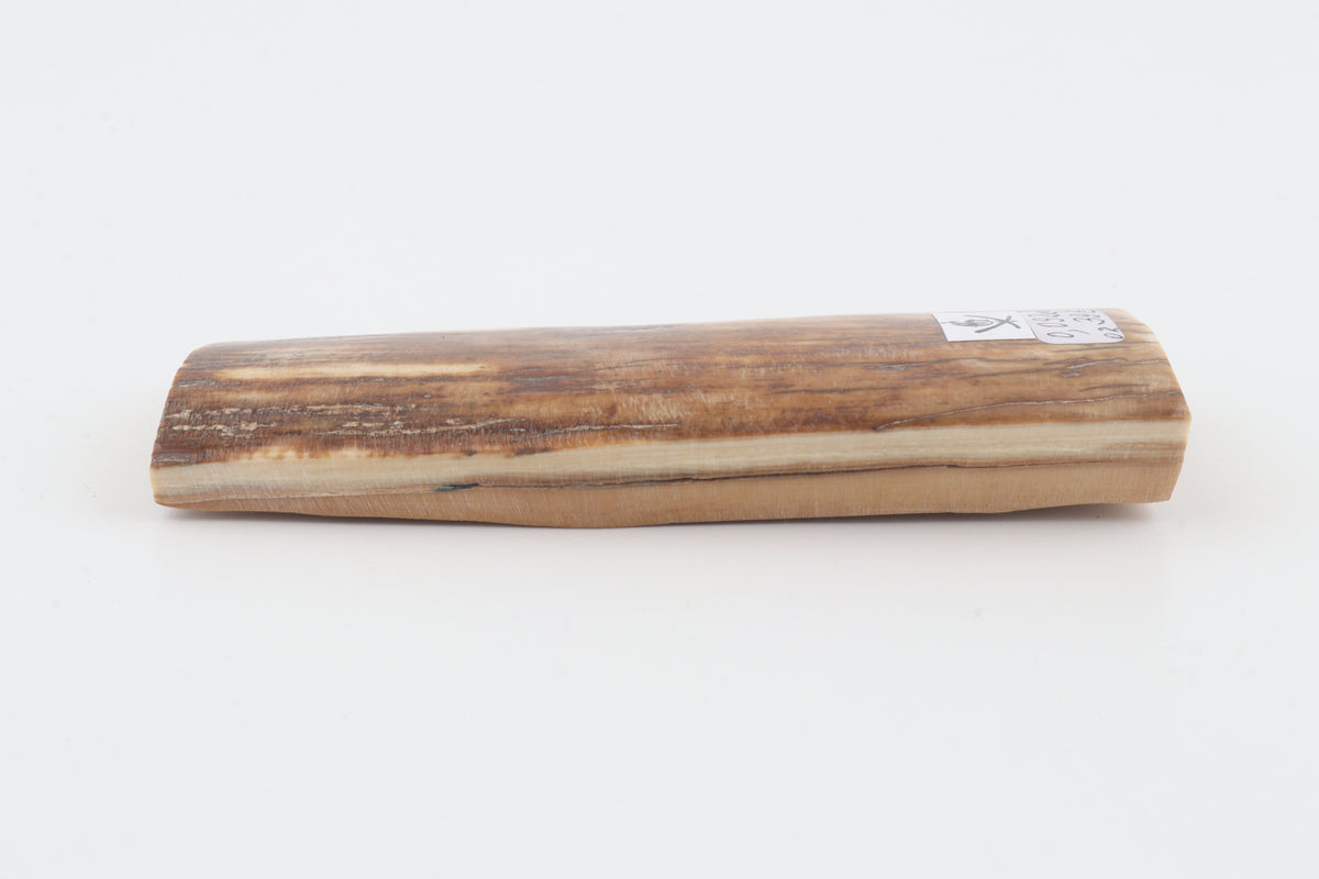 Caramel-brown mammoth bark