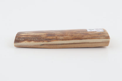 Caramel-brown mammoth bark