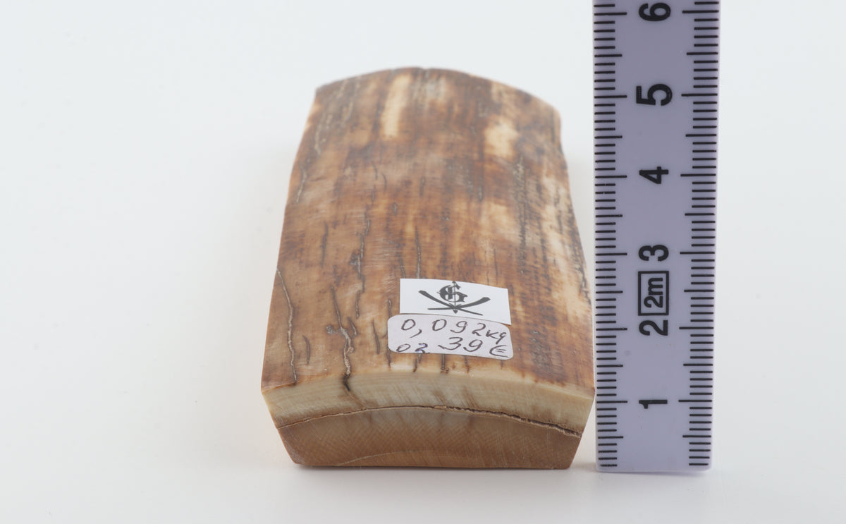 Caramel-brown mammoth bark