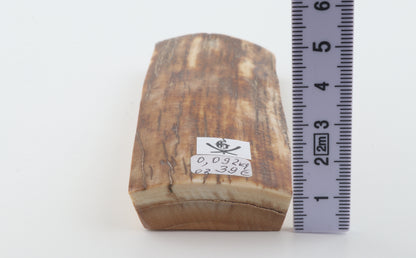 Caramel-brown mammoth bark