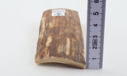 Caramel-brown mammoth bark