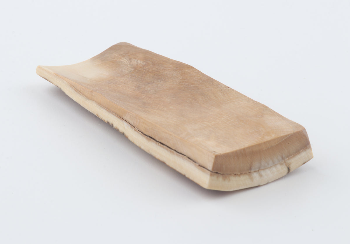 Caramel-brown mammoth bark