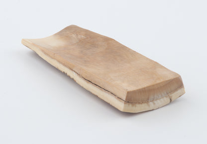 Caramel-brown mammoth bark